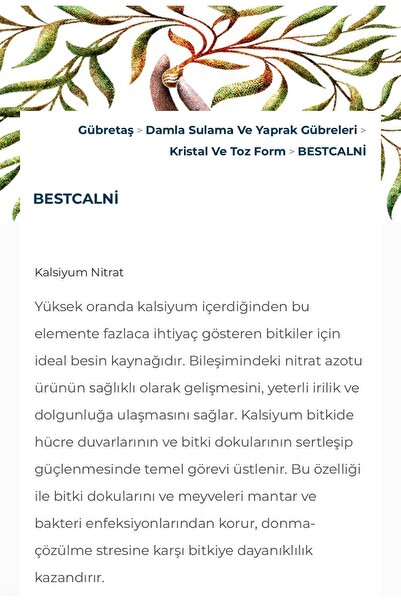 Bestcalni Kalsiyum Nitrat 25 Kg