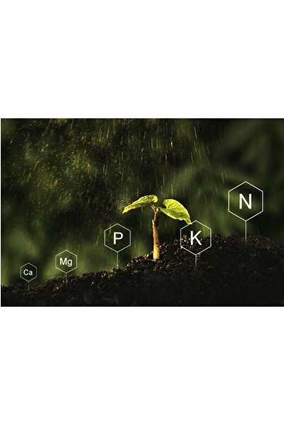 Potasyum Nitrat Bitki Besini Gübresi 25 Kg